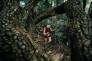 BIB: 
                            <button type="button" onclick="openModal(25391910)" class="btn btn-primary btn-sm float-right btn-popup" data-toggle="modal" data-target=".modal-high-quality">
                        <i class="fas fa-shopping-cart"></i> Add to Cart
                    </button>
                                            <button type="button" onclick="isThisMe(25391910, true)" class="btn btn-success btn-sm float-right btn-popup btn-isme hidden" data-toggle="tooltip" data-placement="bottom" title="นี่คือรูปของคุณใช่ไหม คลิกที่นี่เพื่อเอาเข้าอัลบั้ม">
                        <i class="fas fa-plus"></i> Add to album
                    </button>
                    <button type="button" onclick="isThisMe(25391910, false)" class="btn btn-warning btn-sm float-right btn-popup btn-isnotme hidden">
                        <i class="fas fa-ban"></i> Remove from album
                    </button>